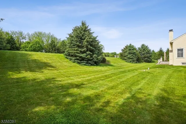 a view of a big yard with swimming pool and green space