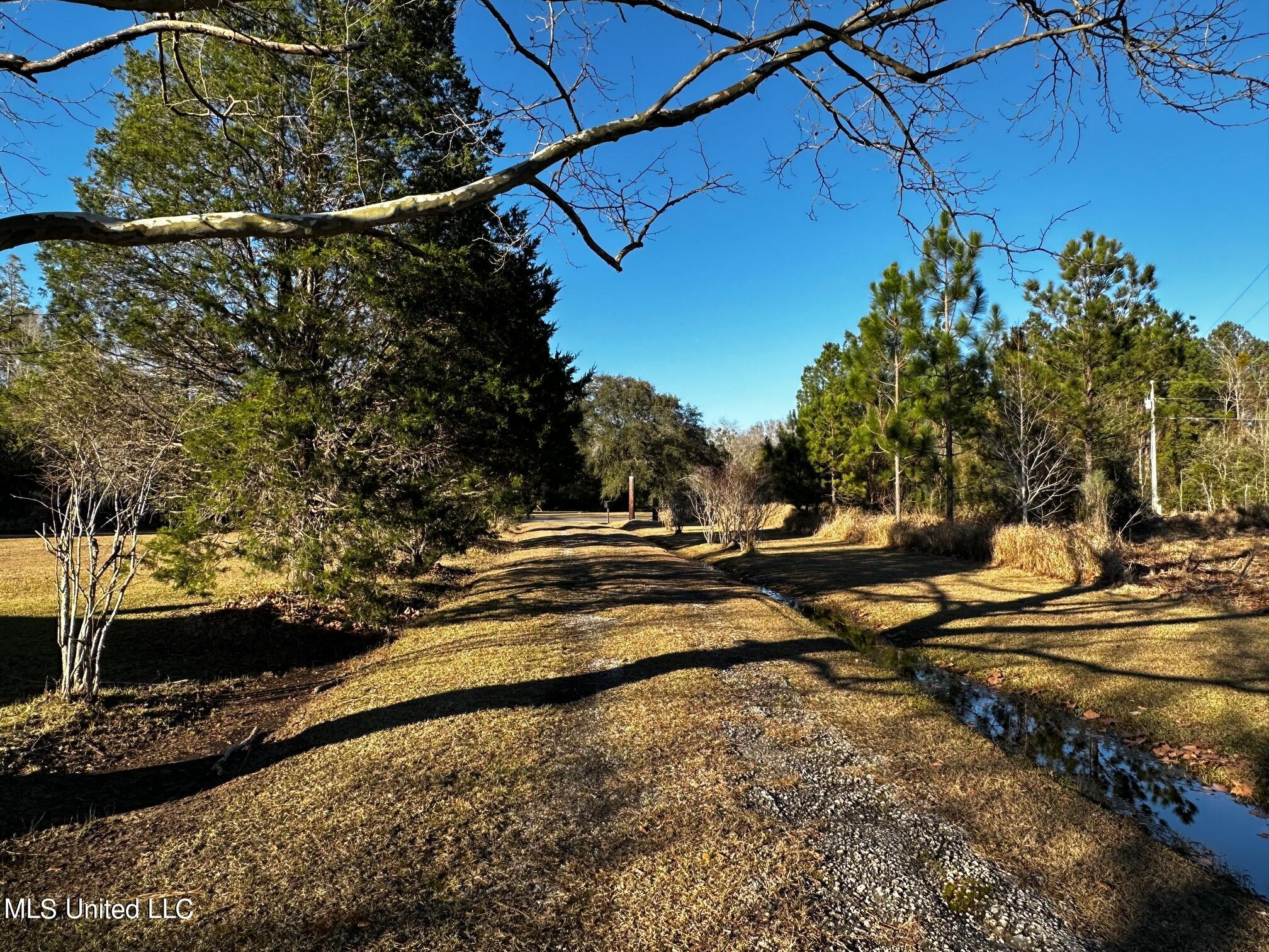 7900 Nutbank Road Moss Point, MS 39562 - Photo 3 of 29 Driveway