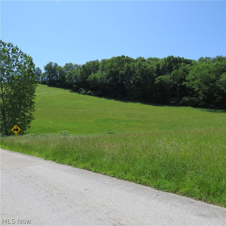 Fargo Road Southwest Dellroy, OH 44620 - Photo 9 of 14