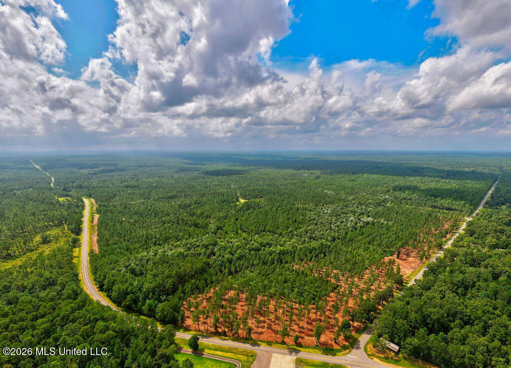 Nhn Lot 2 Nhn Road Saucier, MS 39574 - Photo 62 of 87 HiddenCreekEstatesNoLines-19