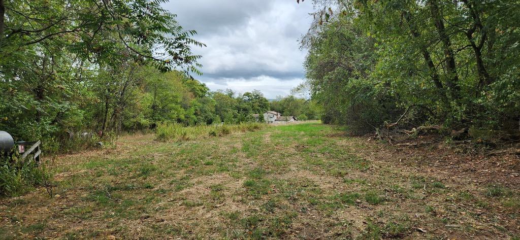 118 Tomcat Hollow Road Point Marion, PA 15474 - Photo 3 of 30 a view of a lush green forest