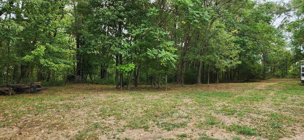 118 Tomcat Hollow Road Point Marion, PA 15474 - Photo 7 of 30 a view of an outdoor space and a yard