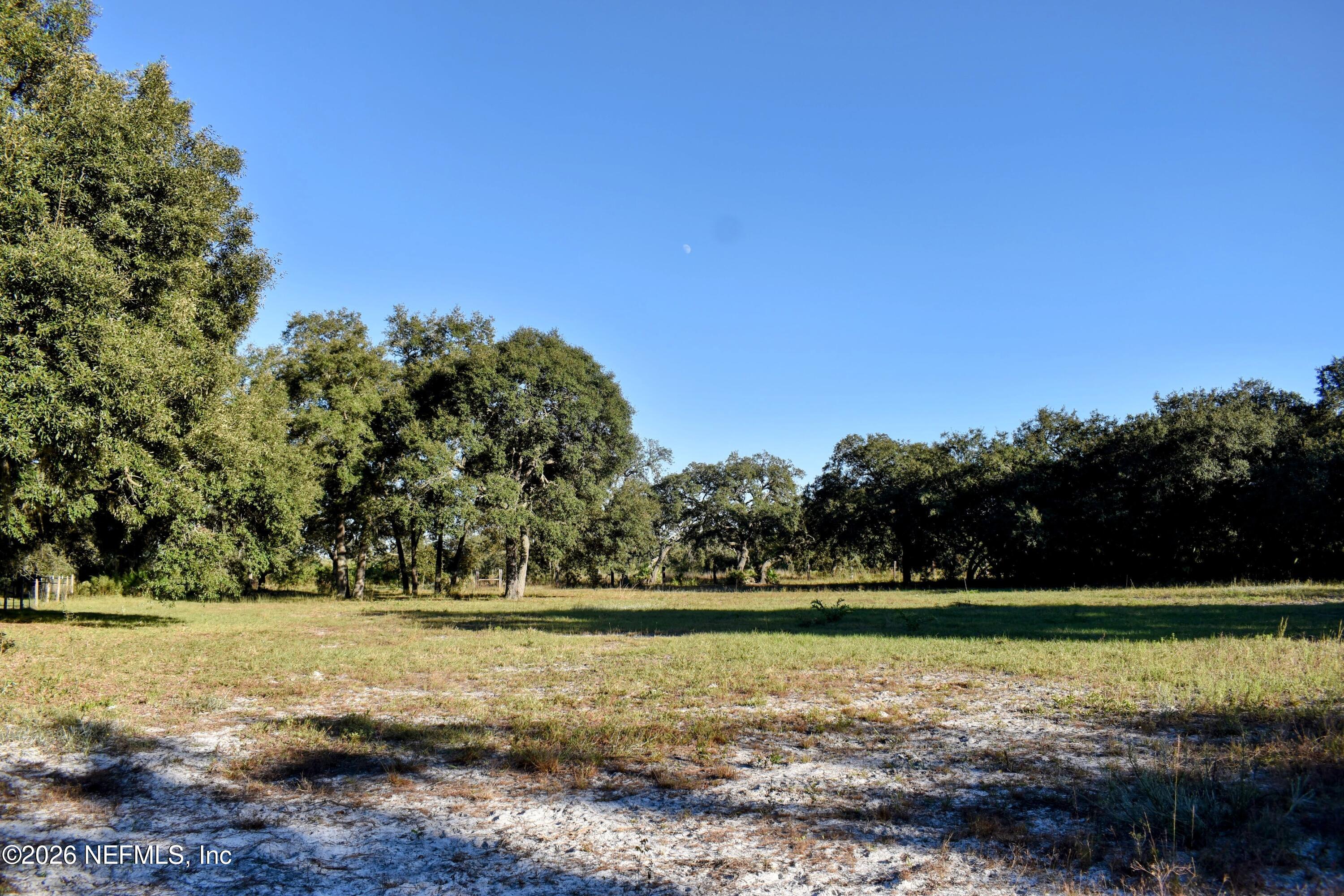 224 Rodeo Drive Interlachen, FL 32148 - Photo 11 of 14 DSC_0146-EDIT