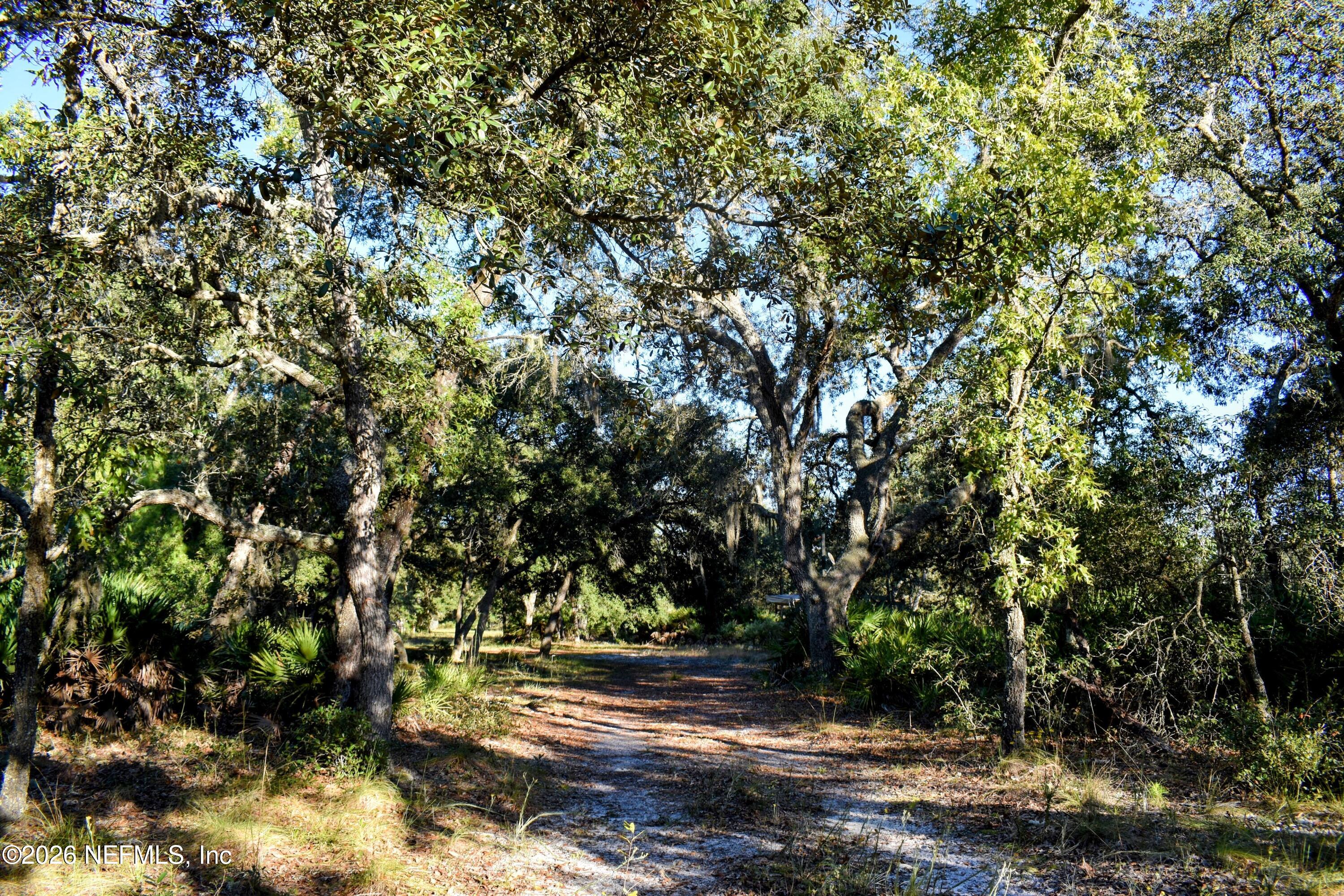 224 Rodeo Drive Interlachen, FL 32148 - Photo 13 of 14 DSC_0151-EDIT