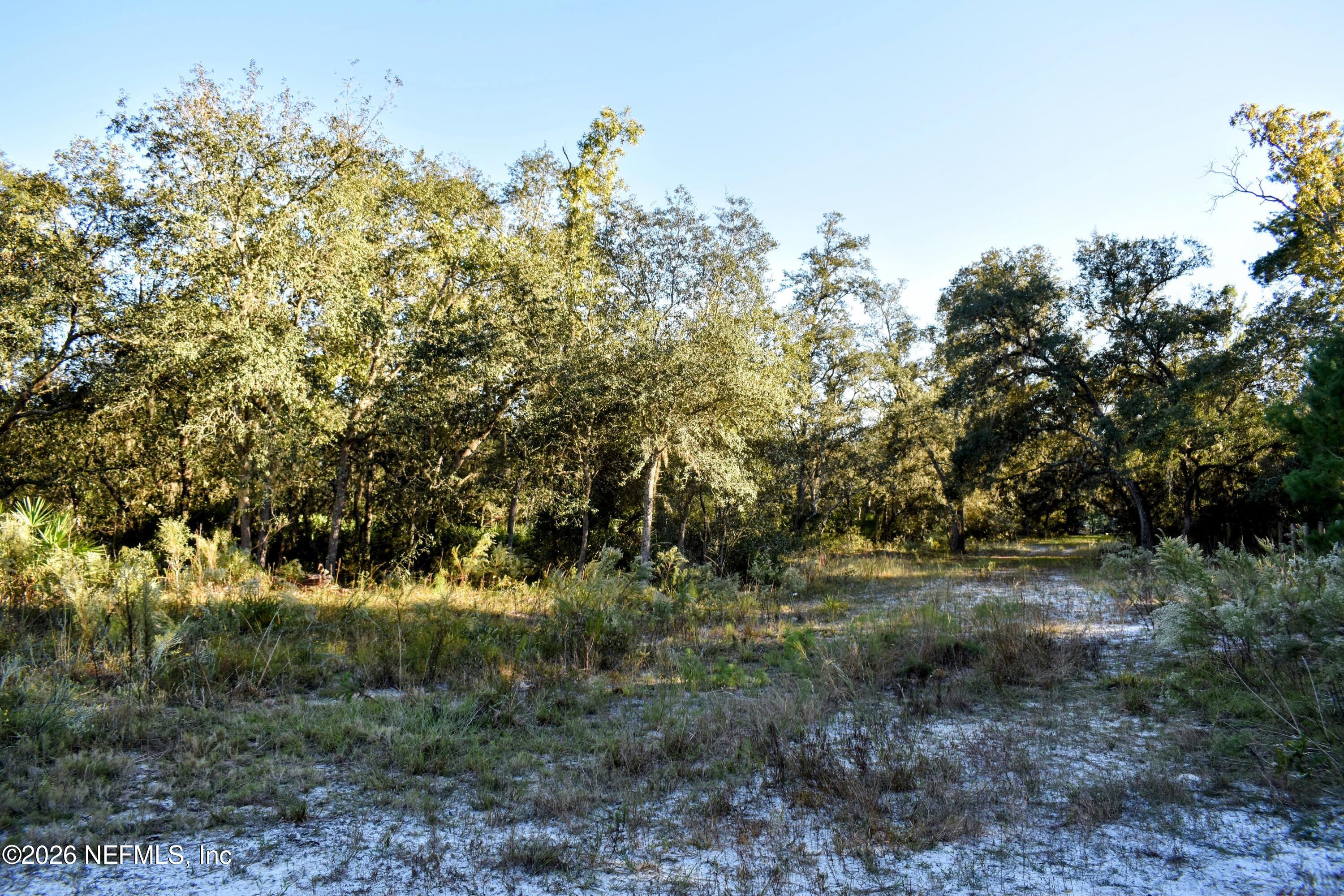 224 Rodeo Drive Interlachen, FL 32148 - Photo 14 of 14 DSC_0154-EDIT