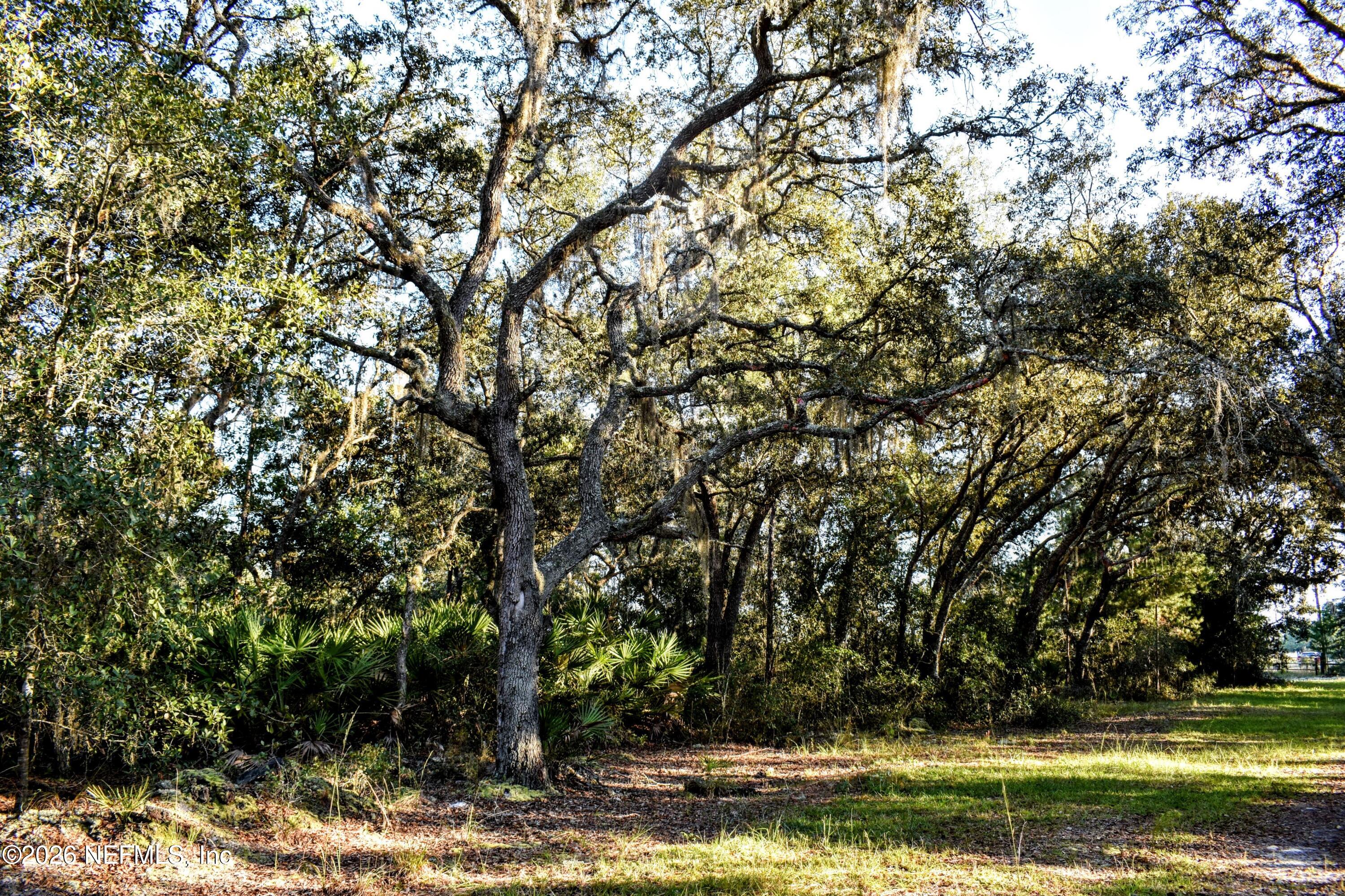 224 Rodeo Drive Interlachen, FL 32148 - Photo 3 of 14 DSC_0160-EDIT