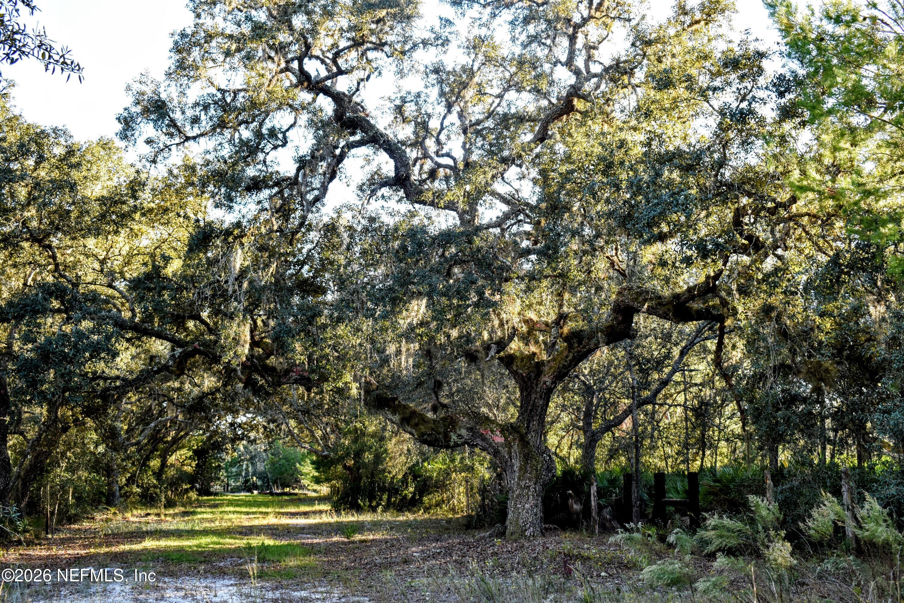 224 Rodeo Drive Interlachen, FL 32148 - Photo 4 of 14 DSC_0157-EDIT