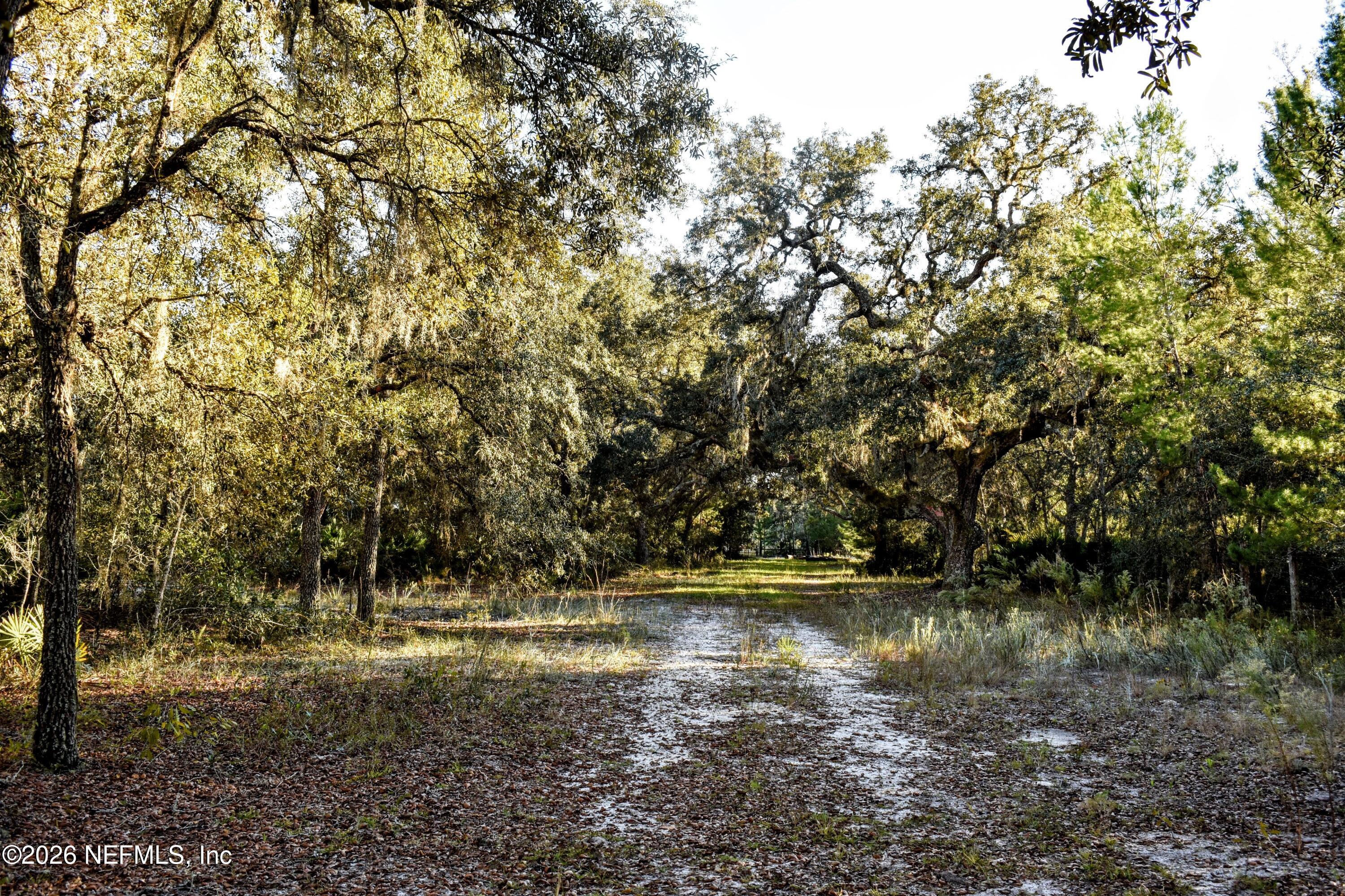224 Rodeo Drive Interlachen, FL 32148 - Photo 5 of 14 DSC_0156-EDIT