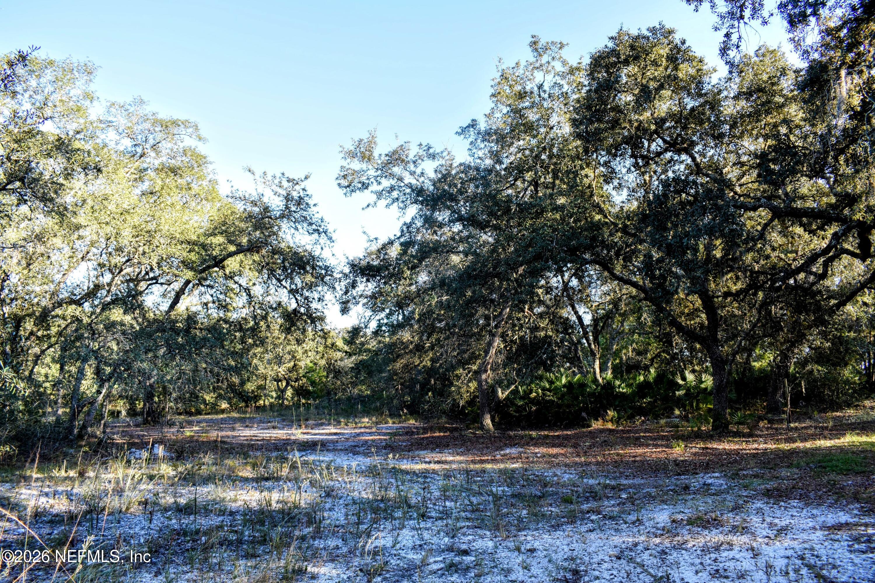 224 Rodeo Drive Interlachen, FL 32148 - Photo 6 of 14 DSC_0158-EDIT