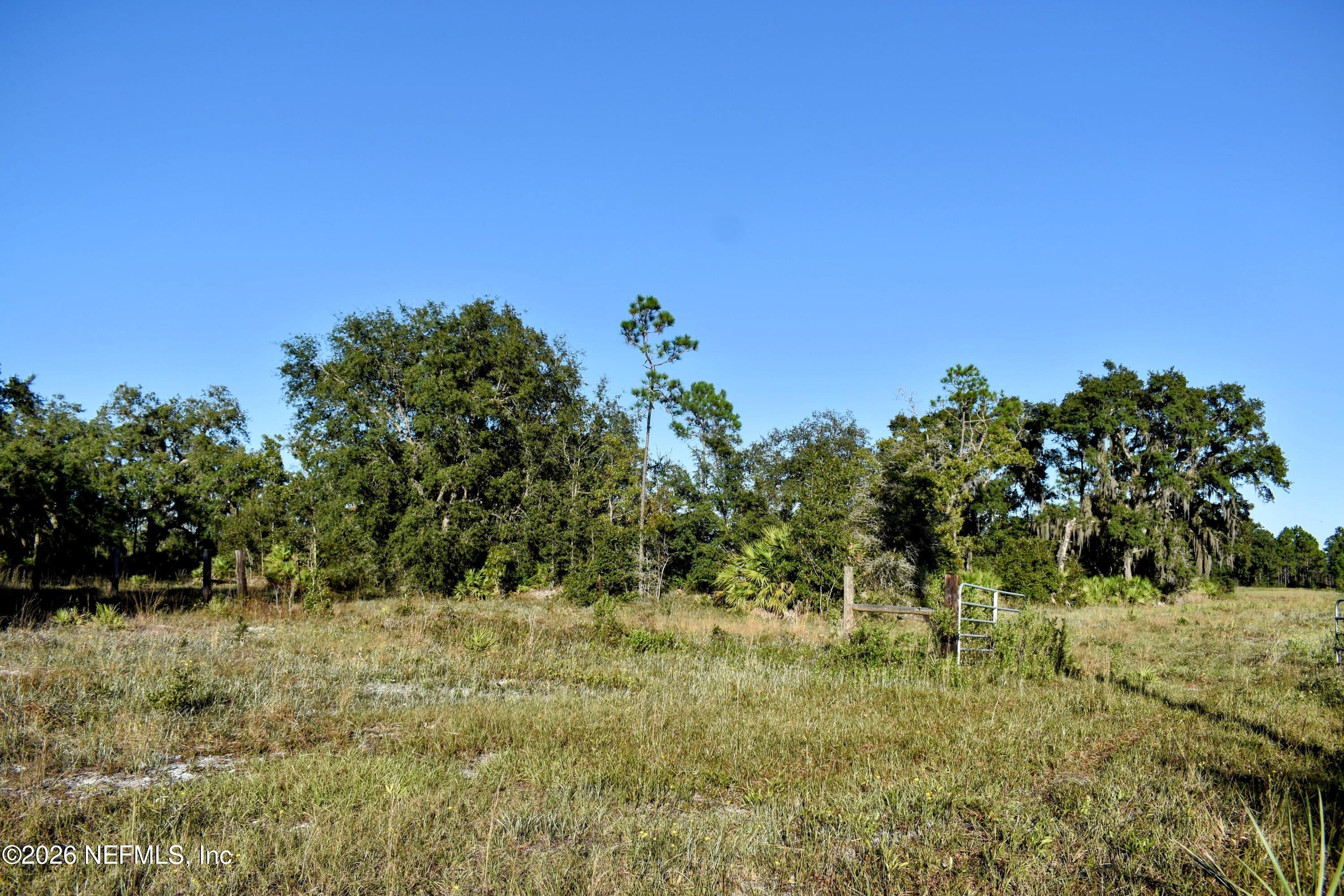 224 Rodeo Drive Interlachen, FL 32148 - Photo 7 of 14 DSC_0132-EDIT