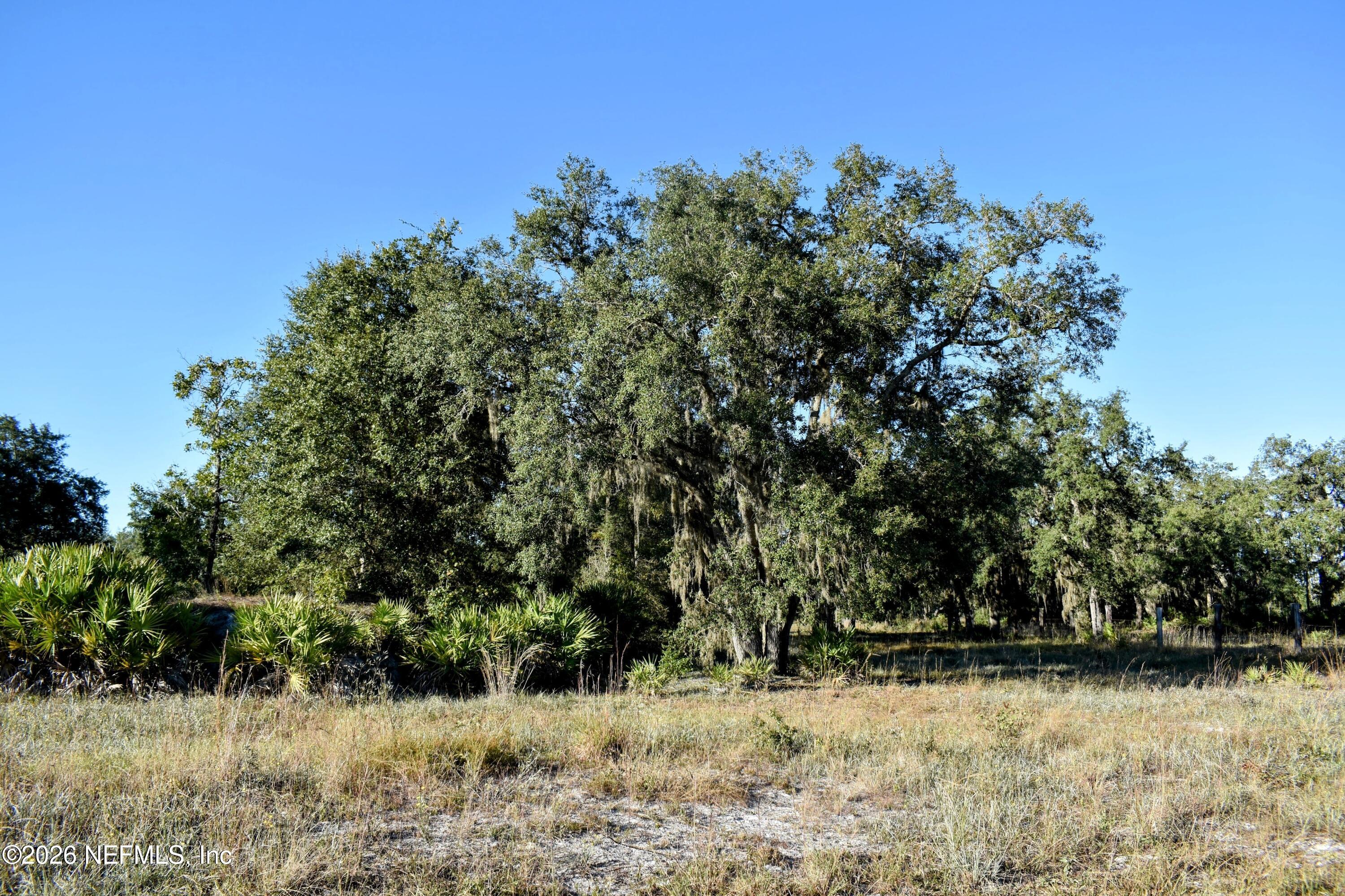 224 Rodeo Drive Interlachen, FL 32148 - Photo 8 of 14 DSC_0134-EDIT