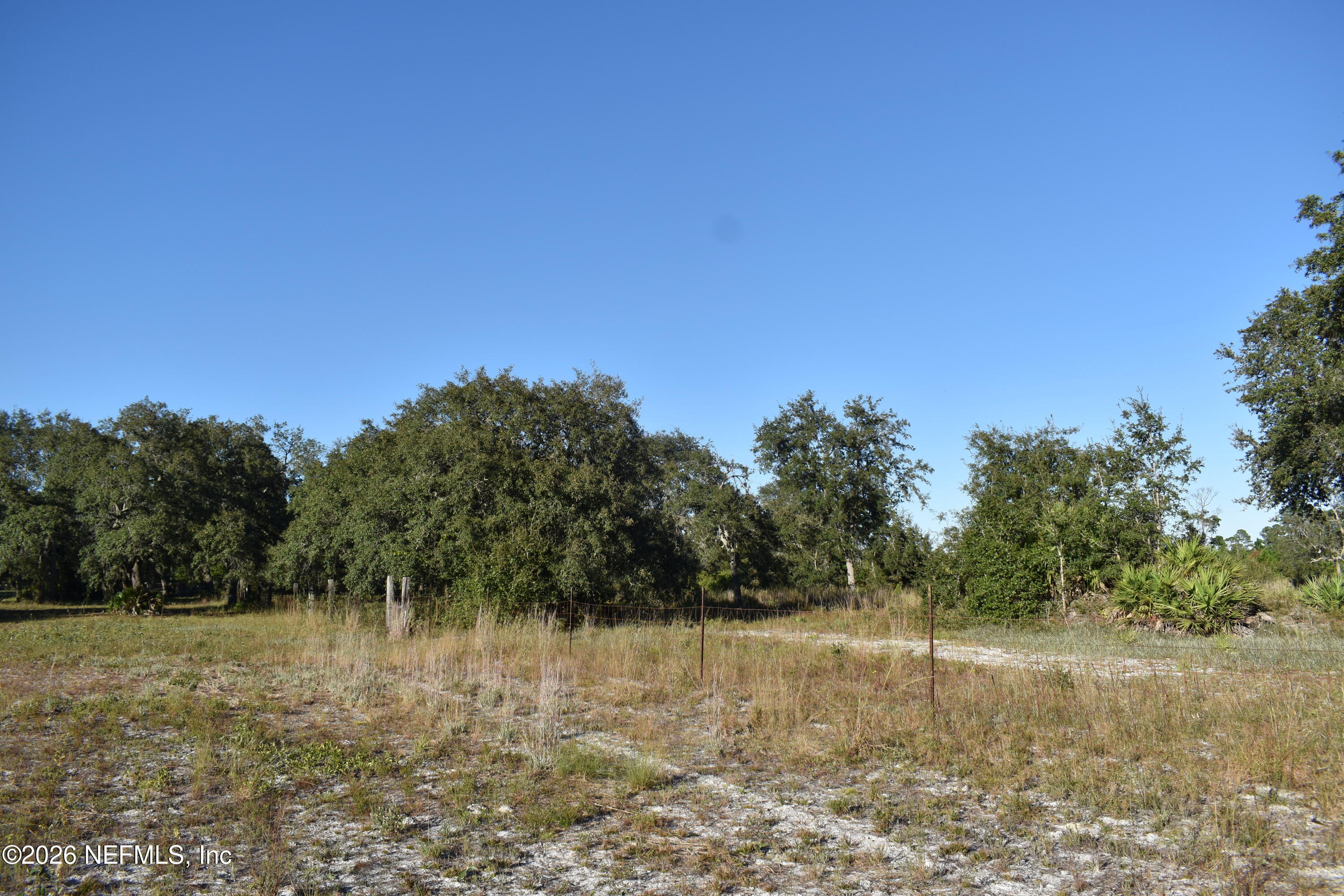224 Rodeo Drive Interlachen, FL 32148 - Photo 9 of 14 DSC_0139