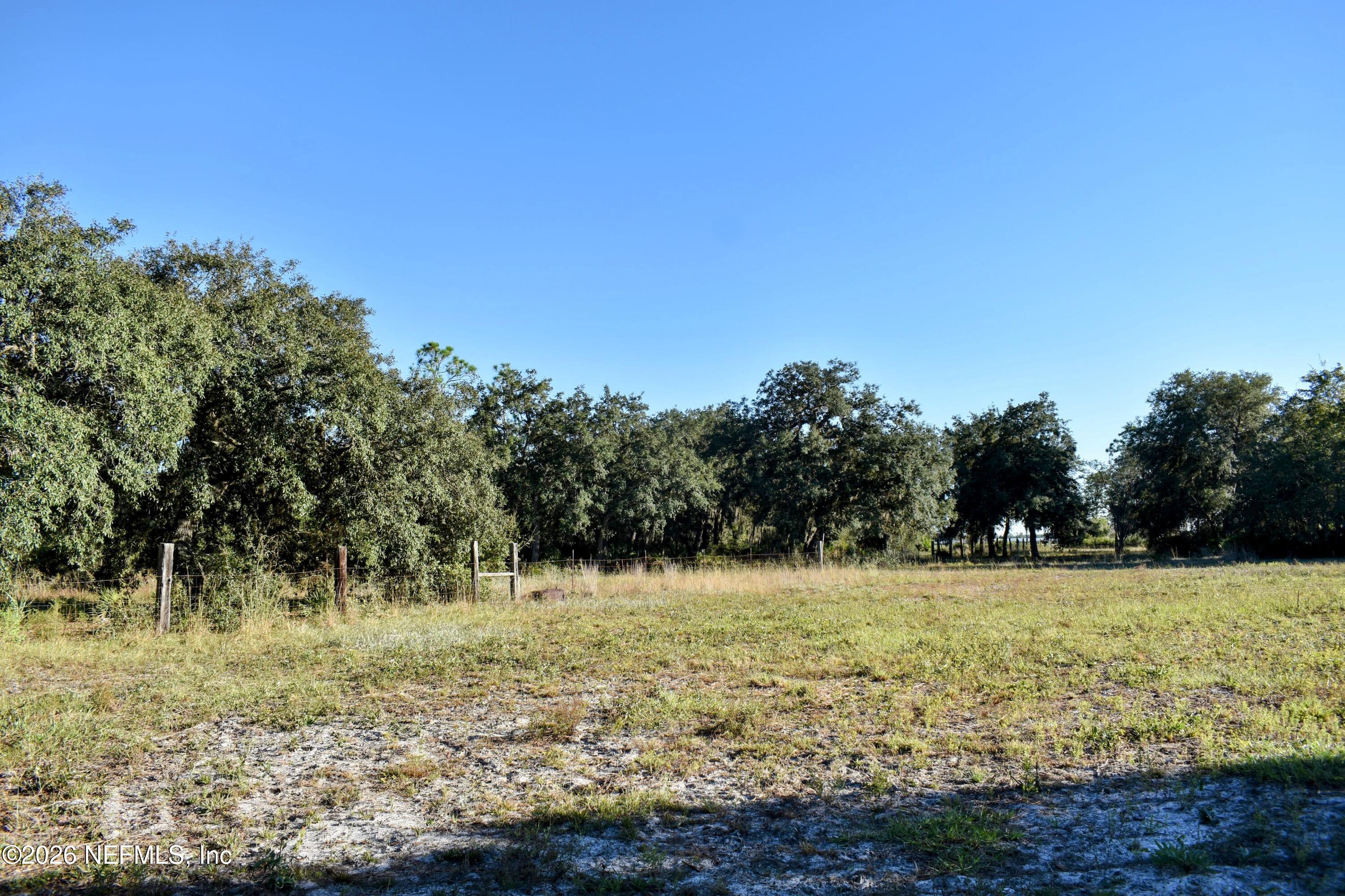224 Rodeo Drive Interlachen, FL 32148 - Photo 10 of 14 DSC_0142-EDIT