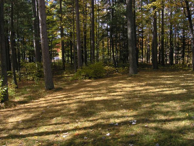 3139 Chas Denton Lane Rhinelander, WI 54501 - Photo 5 of 19 Gallery Image 5