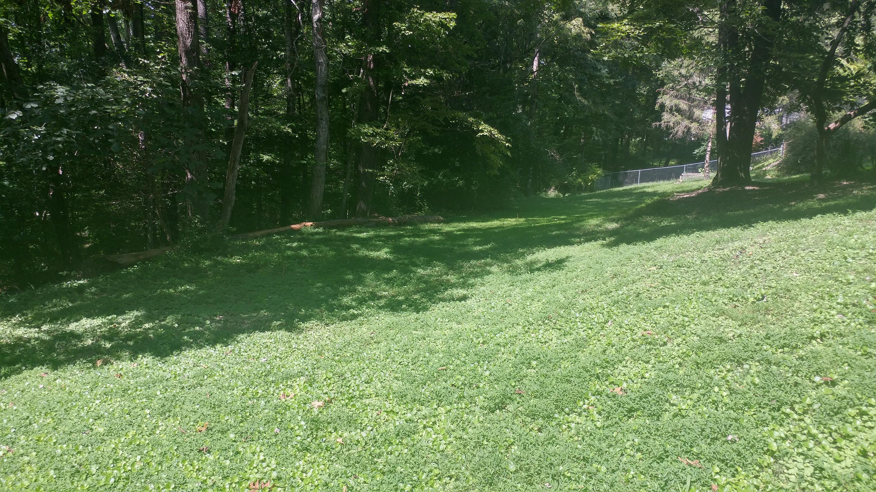 105 Wedgewood Road Oak Ridge, TN 37830 - Photo 25 of 26 0824181435_HDR