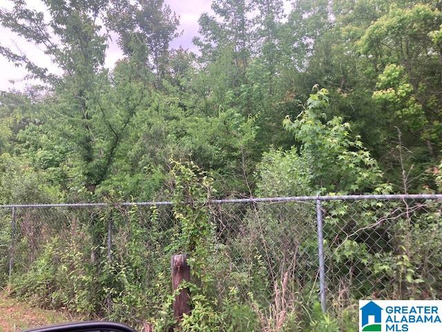 3115 Eddins Road Tuscaloosa, AL 35401 - Photo 11 of 25
