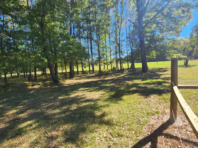 a view of a yard with trees