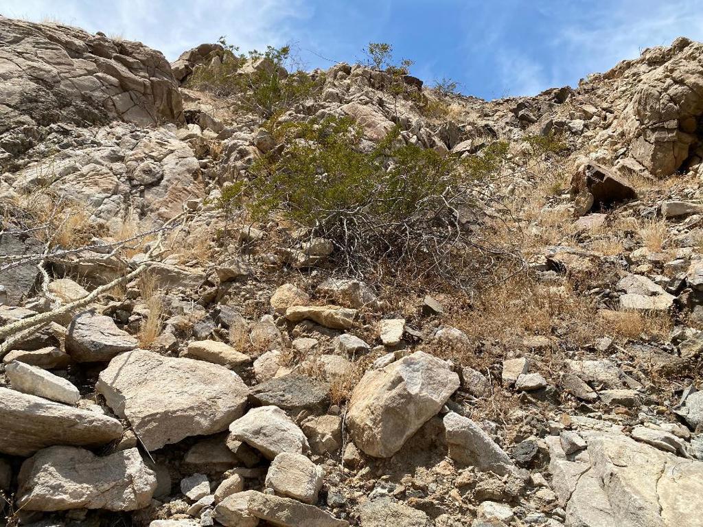 0 Coolidge Springs Road Salton City, CA 92275 - Photo 44 of 62 thumbnail (61)