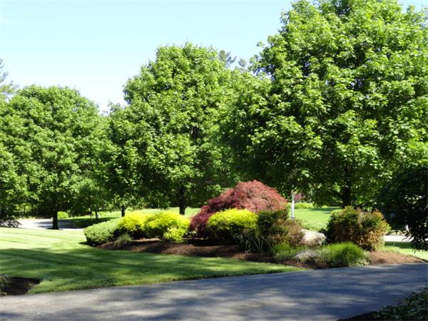 6 Snow Hill Lane Medfield, MA 02052 - Photo 26 of 27