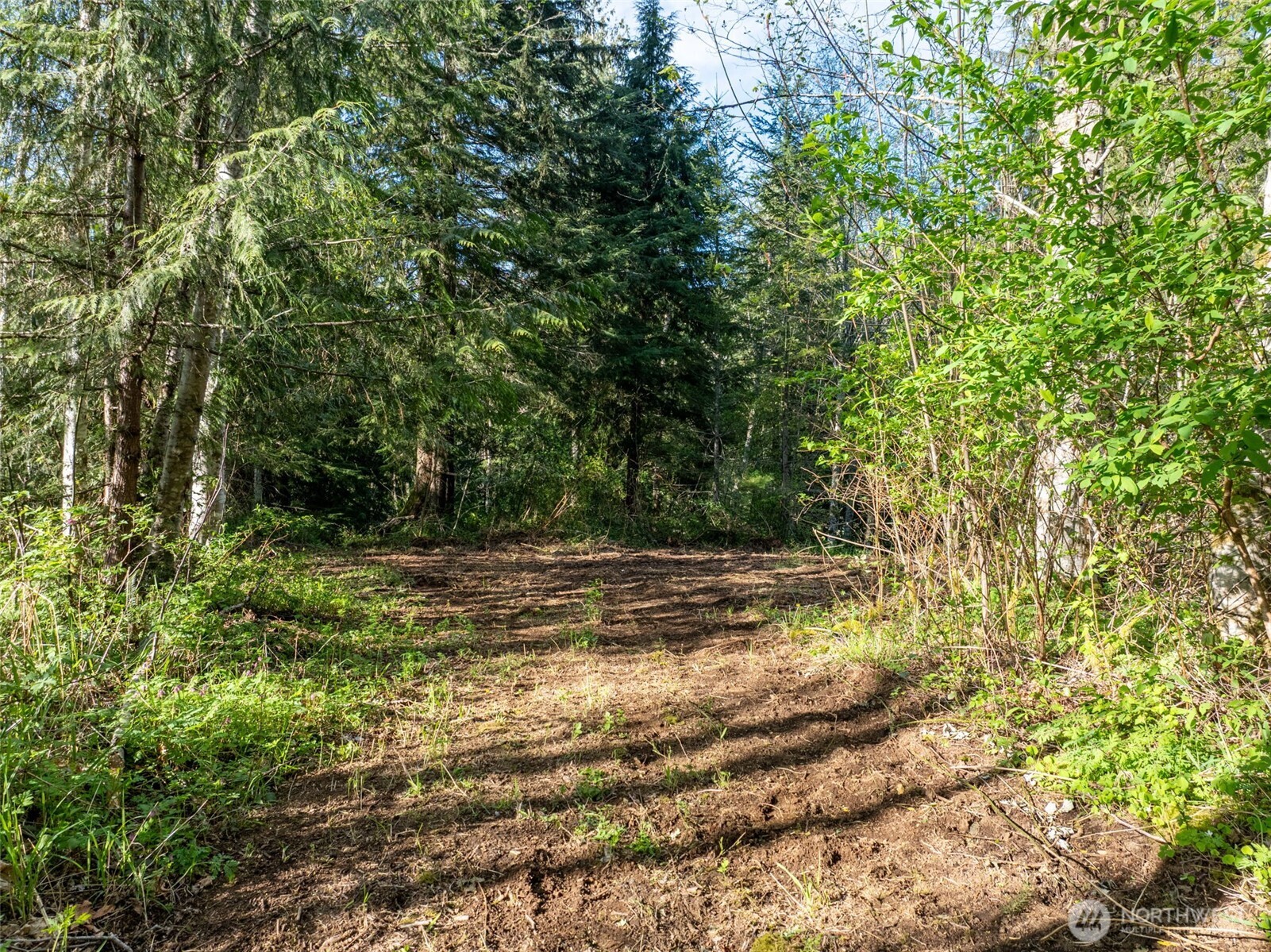 0 Davis Lake Road Morton, WA 98356 - Photo 17 of 25
