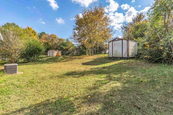 a view of a large yard with large tree and wooden fence