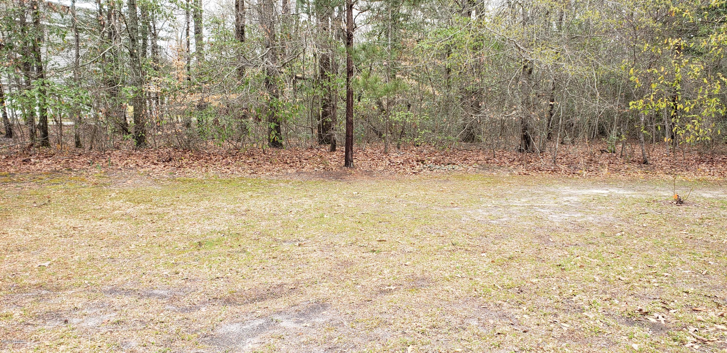 83 Pirate Cove Road Washington, NC 27889 - Photo 9 of 32 20200325_142006