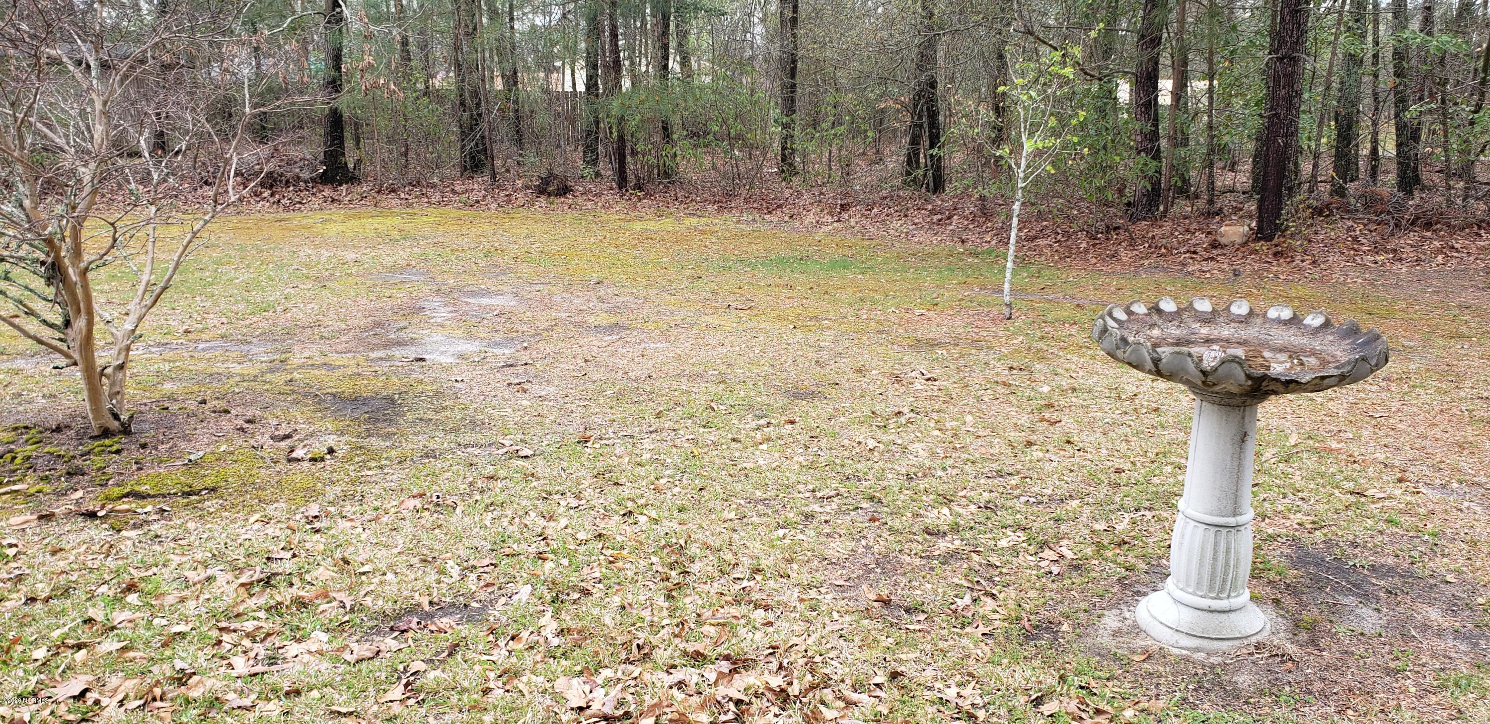 83 Pirate Cove Road Washington, NC 27889 - Photo 10 of 32 20200325_142010