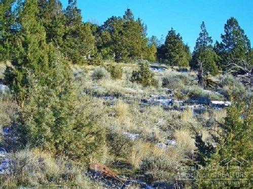 5608 Southeast Pueblo Road Prineville, OR 97754 - Photo 17 of 18 Additional Photo