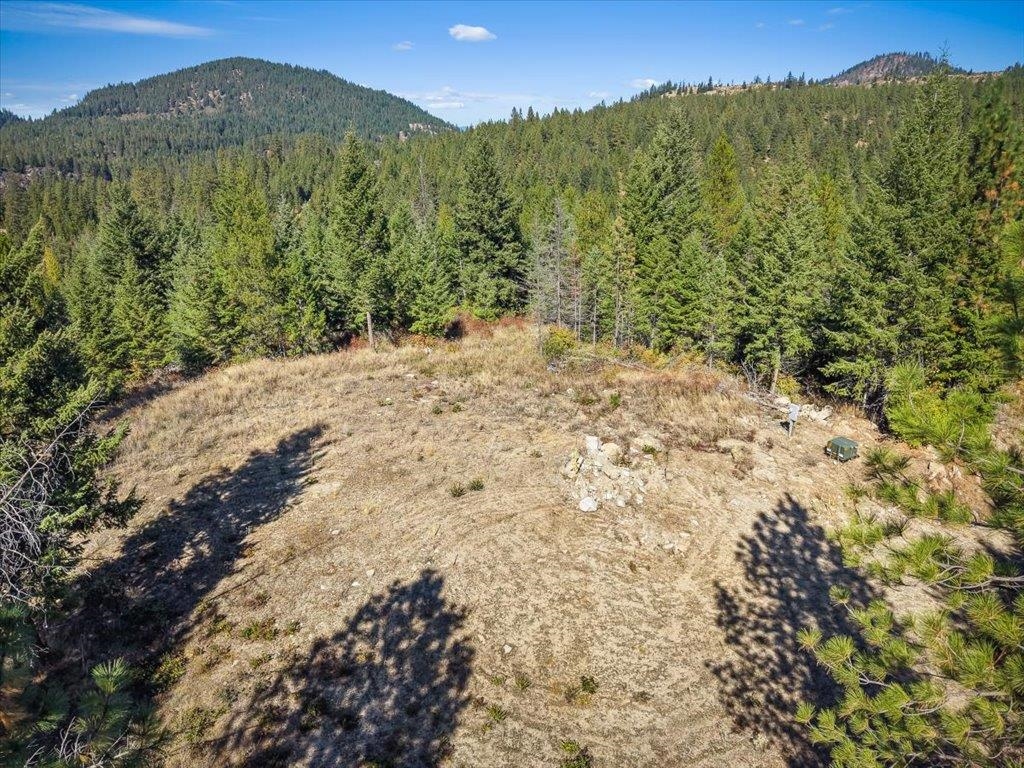 10313 Spring Valley Road Elk, WA 99009 - Photo 6 of 28 Gallery Image 6