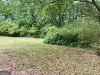 1117 Boss Hardy Road Auburn, GA 30011 - Photo 4 of 19 a view of a field with a trees