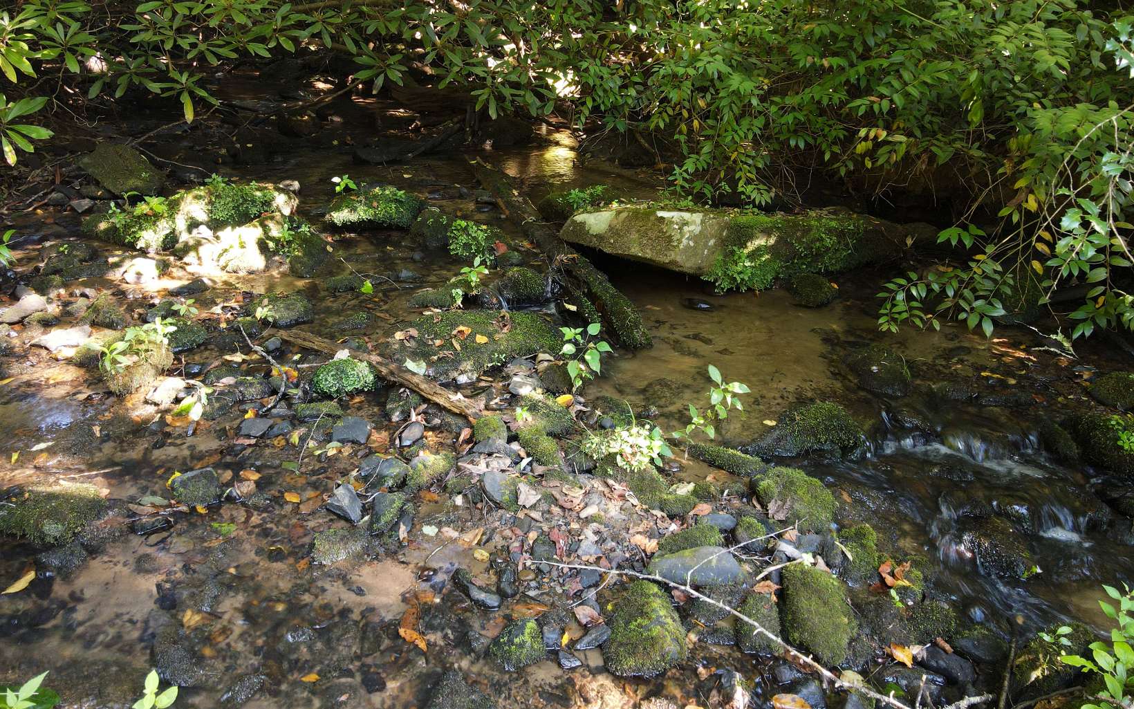 2261 Grape Creek Road Murphy, NC 28906 - Photo 12 of 62 Additional View