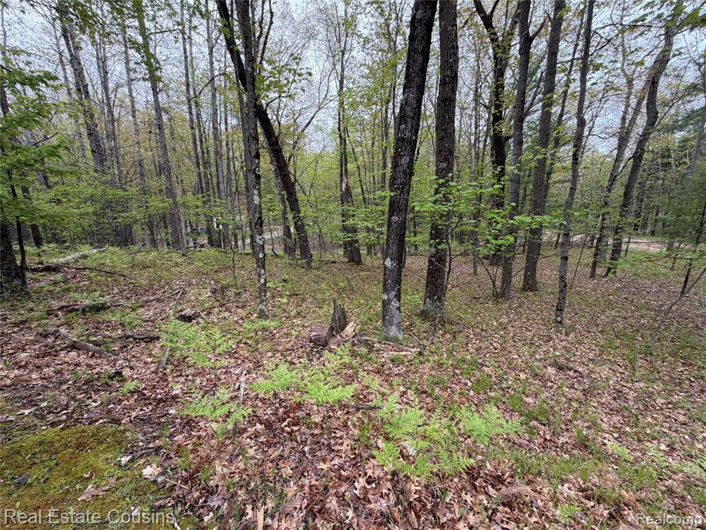 4701 Lake Road Farwell, MI 48622 - Photo 21 of 24