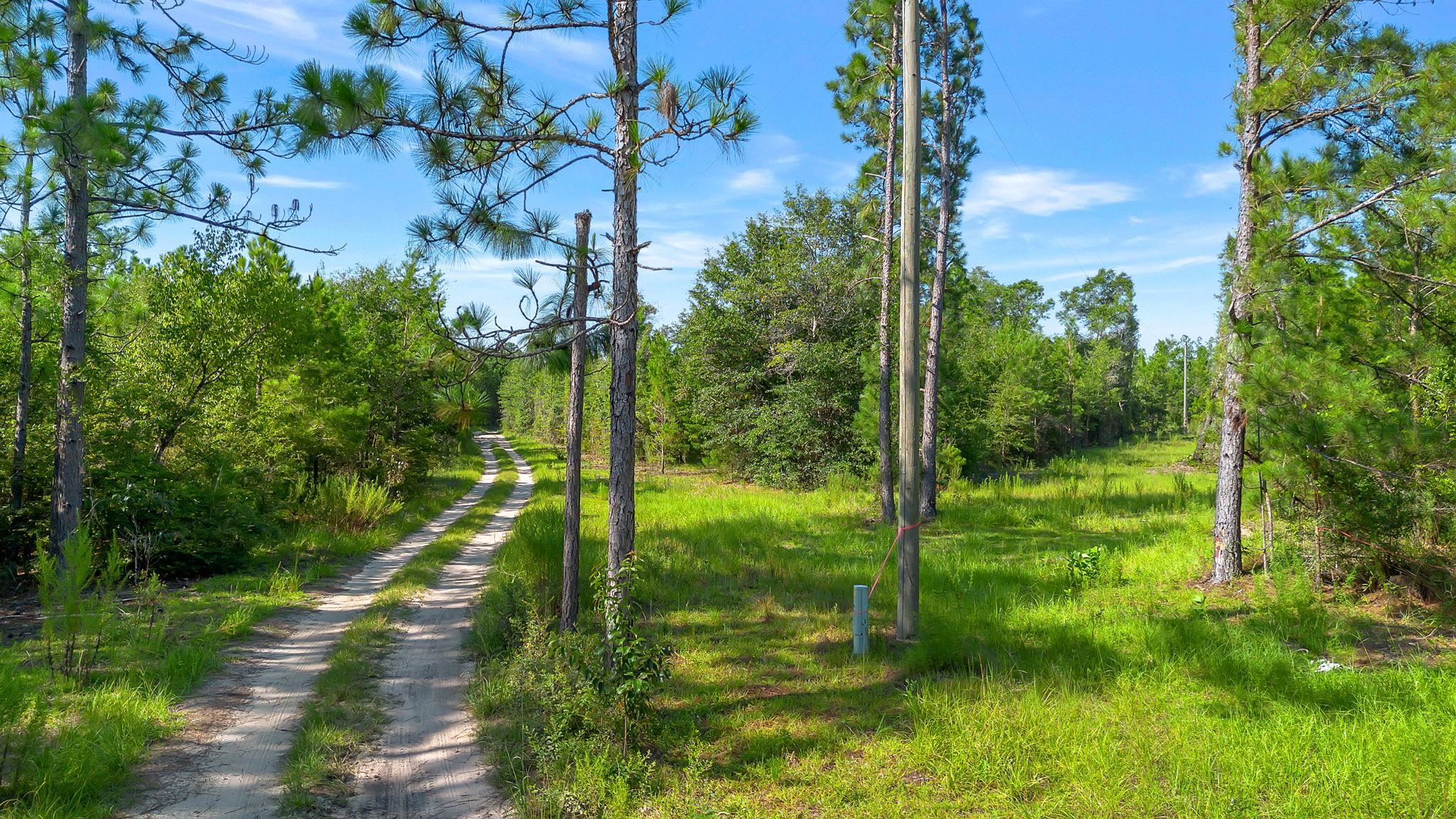 Xxx Watkins Road Quincy, FL 32351 - Photo 2 of 6