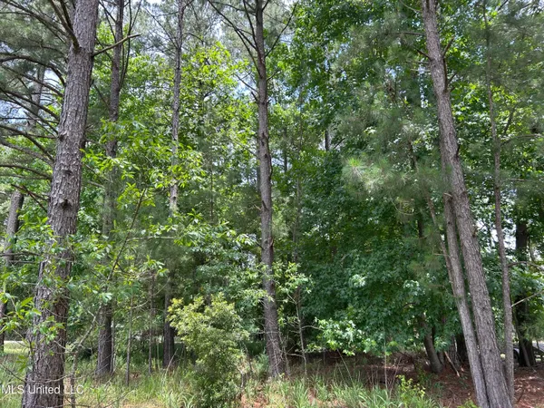 $22,000 | 0 Cypress Road, Pachuta, MS 39347