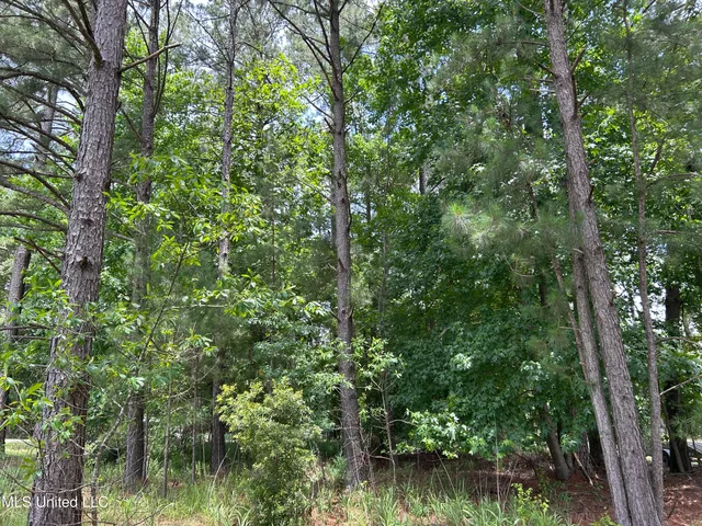 $22,000 | 0 Cypress Road, Pachuta, MS 39347