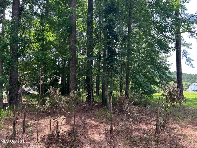 $22,000 | 0 Cypress Road, Pachuta, MS 39347