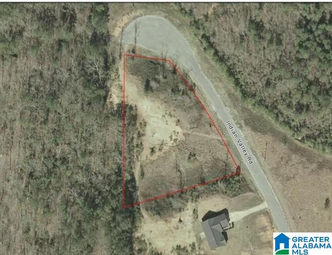 0 Indian Valley Road, Unit 1 Sylacauga, AL 35150 - Photo 5 of 5