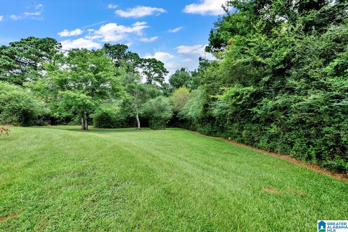 0 Mize Road, Unit 13 Remlap, AL 35133 - Photo 23 of 44