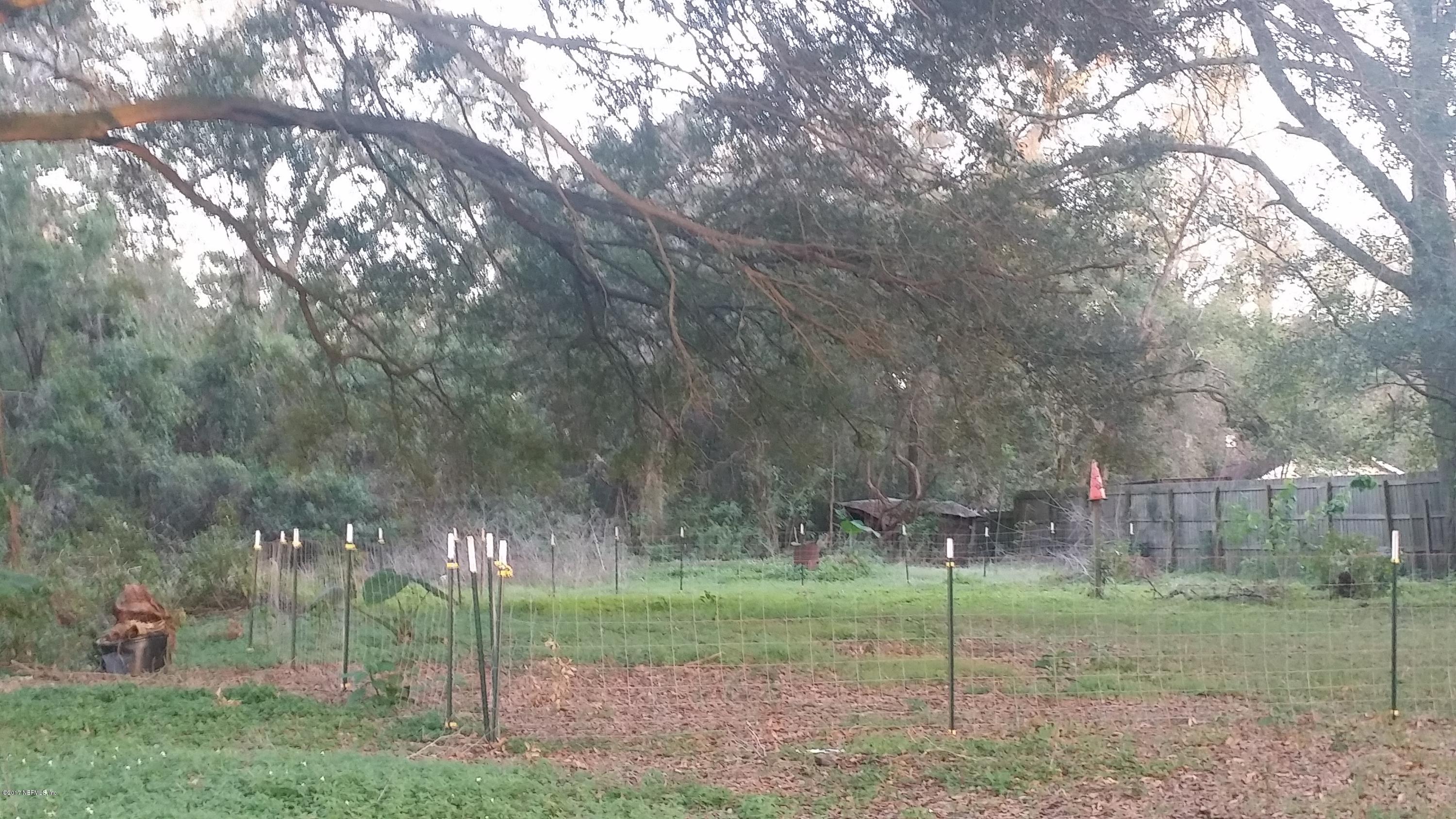 779 Cahoon Road South Jacksonville, FL 32221 - Photo 11 of 12 back yard 3