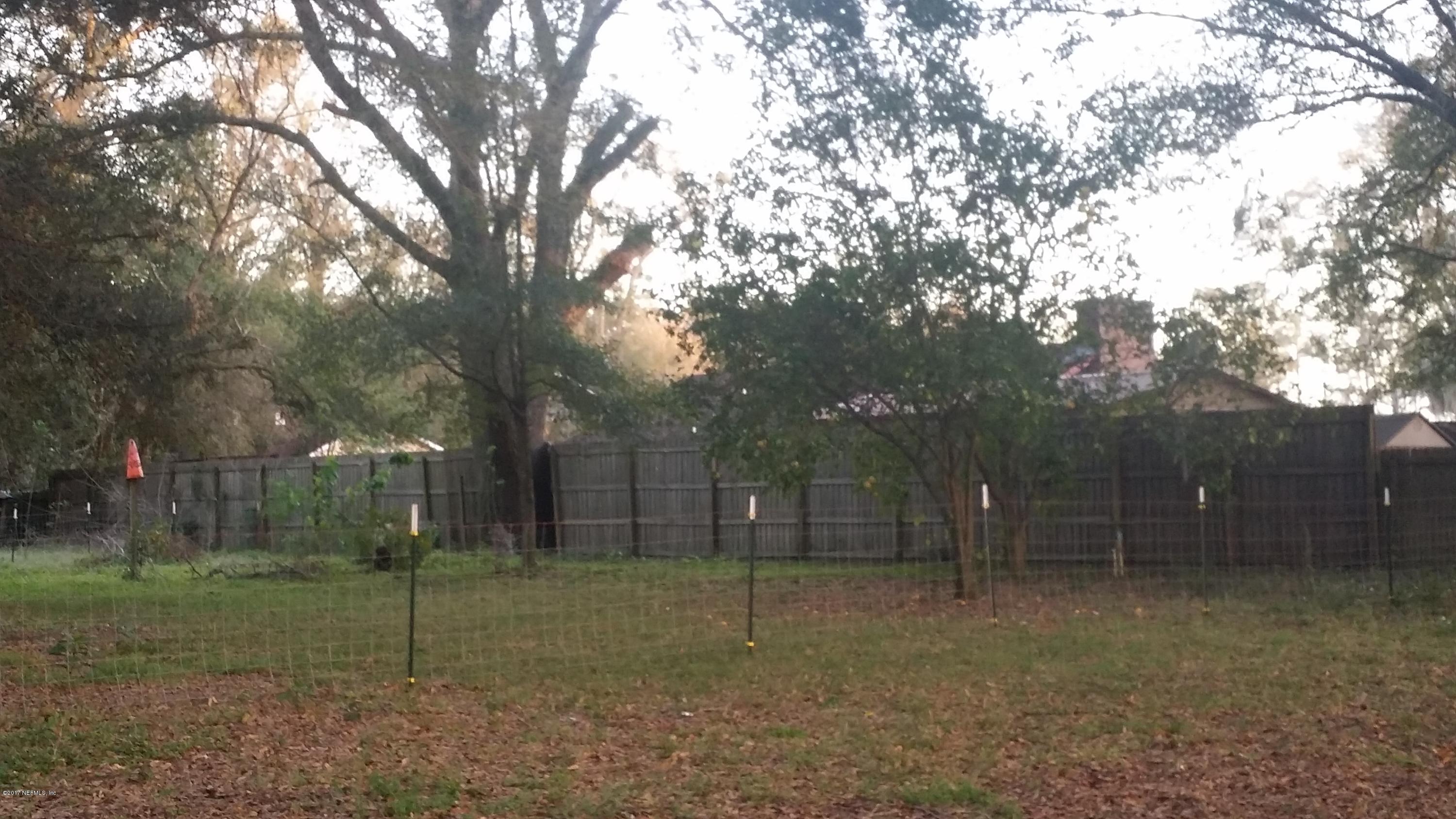 779 Cahoon Road South Jacksonville, FL 32221 - Photo 12 of 12 back yard fenced