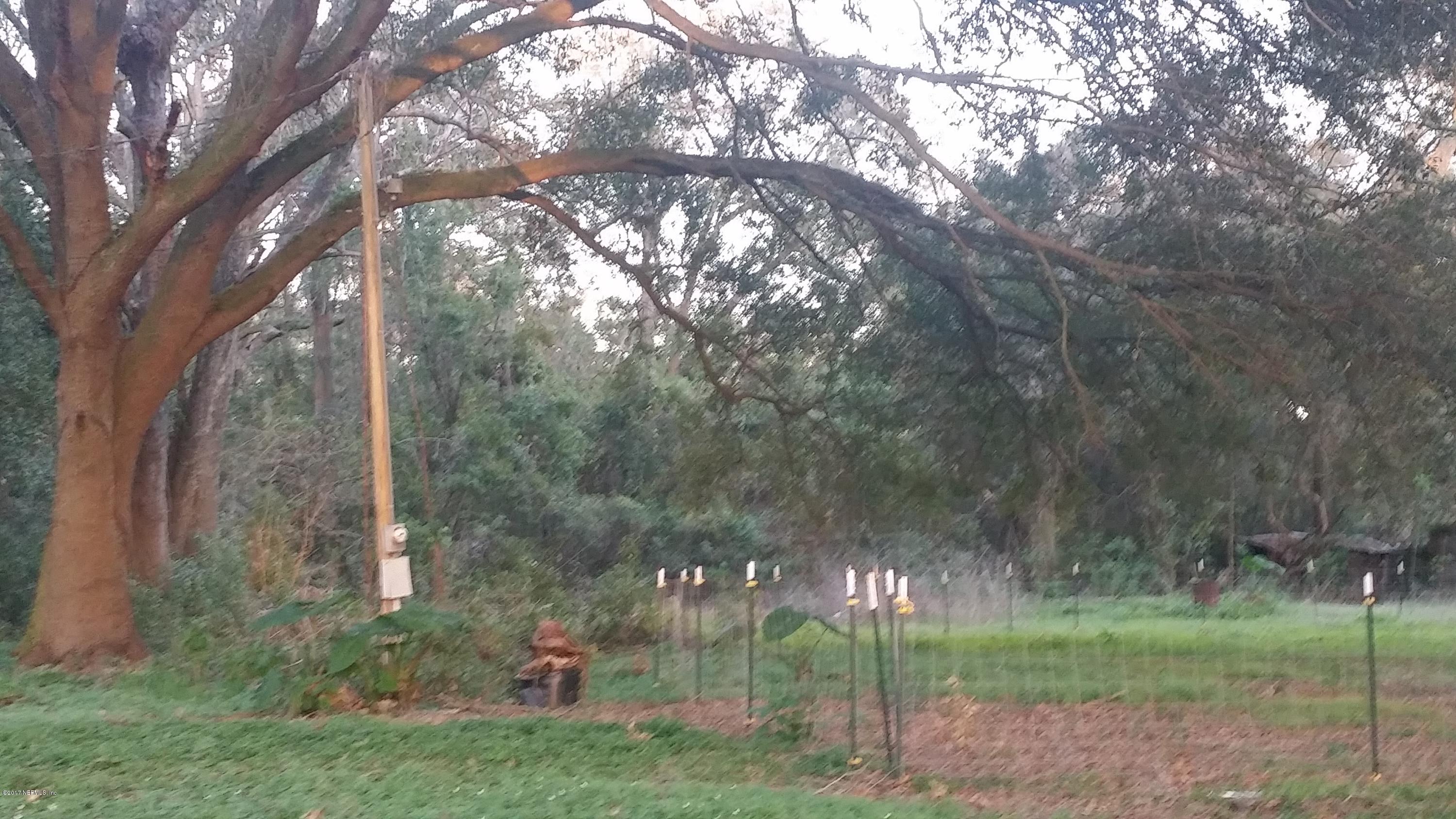 779 Cahoon Road South Jacksonville, FL 32221 - Photo 10 of 12 back yard 2
