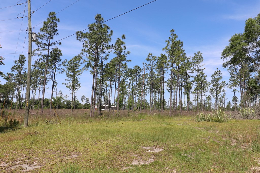 0 State Line Road Cottonwood, AL 36320 - Photo 10 of 27