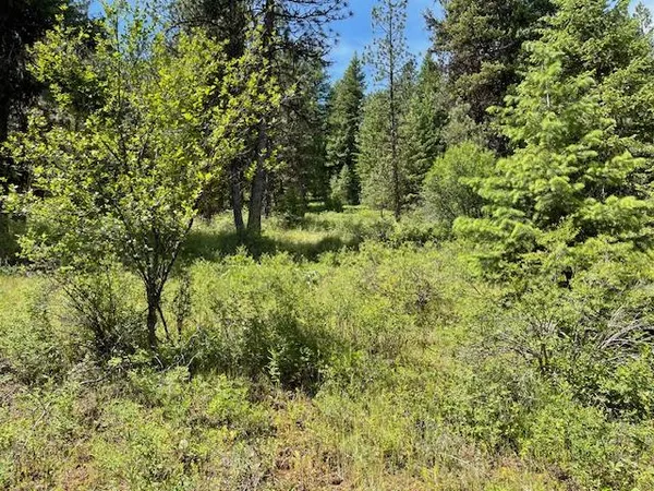 $149,000 | Lot 20 Little Salmon Road, Unit 20, New Meadows, ID 83654