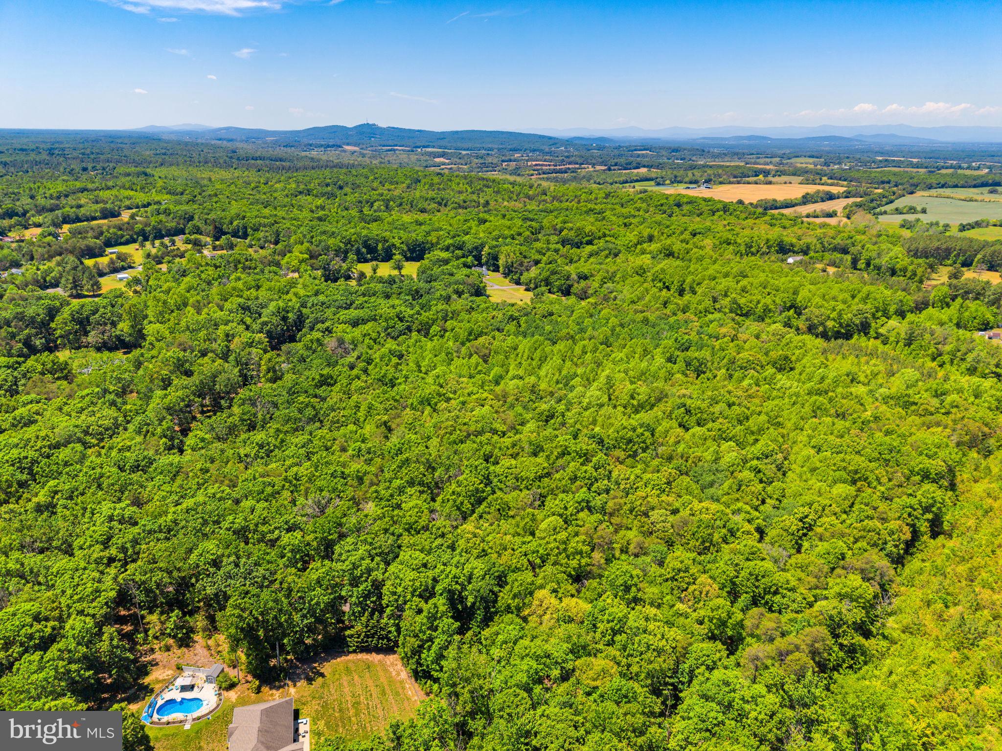28105 Raccoon Ford Road Culpeper, VA 22701 - Photo 82 of 88