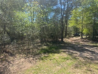 16442 Whippoorwill Road Navasota, TX 77868 - Photo 3 of 8 a view of outdoor space with trees