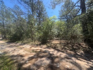 16442 Whippoorwill Road Navasota, TX 77868 - Photo 4 of 8 a view of a forest with trees in the background