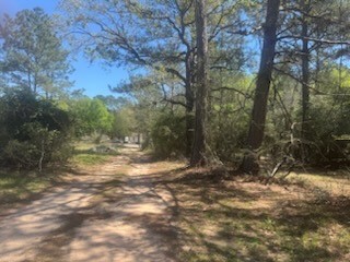 16442 Whippoorwill Road Navasota, TX 77868 - Photo 5 of 8 a view of outdoor space with trees