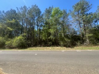 16442 Whippoorwill Road Navasota, TX 77868 - Photo 8 of 8 a view of a yard and trees