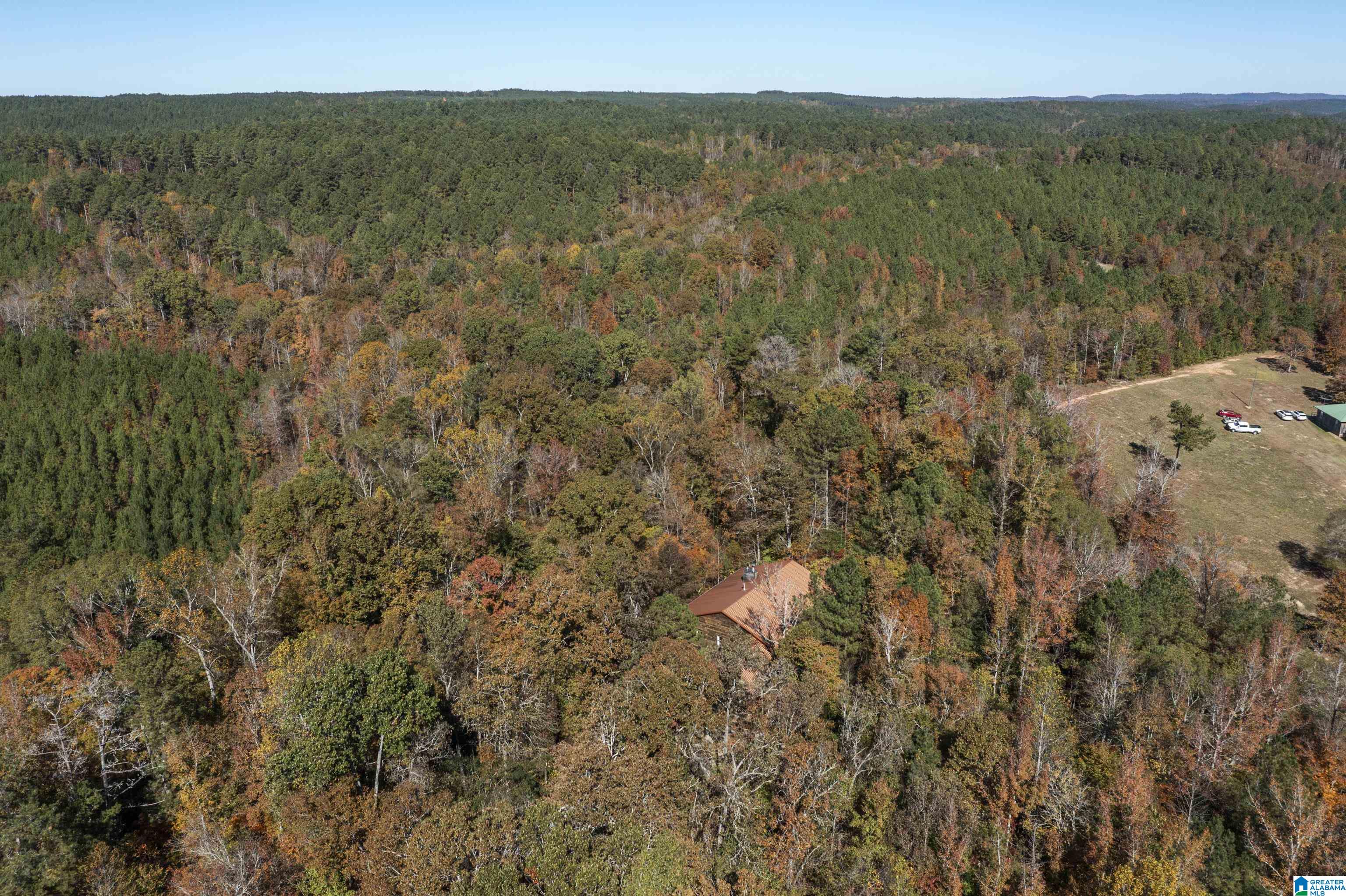 830 Turkey Ridge Road Ragland, AL 35131 - Photo 44 of 50