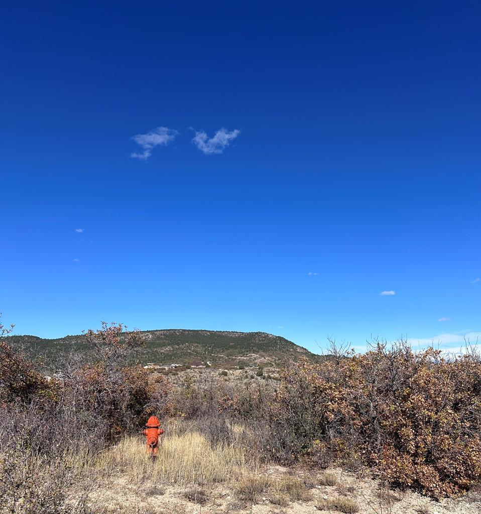 Lot 674 Geronimo Road Colorado City, CO 81019 - Photo 1 of 10 Gallery Image 1